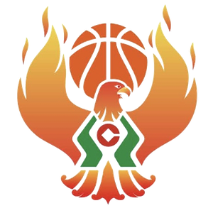 https://img.pychangqing.com/img/basketball/team/09b49d34027e0409a4de3295f8c71a2d.png