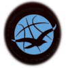 https://img.pychangqing.com/img/basketball/team/1a45d903dafdcc026ec9809d9916a681.png